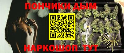 mdpv Можга