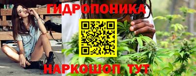 mdpv Можга