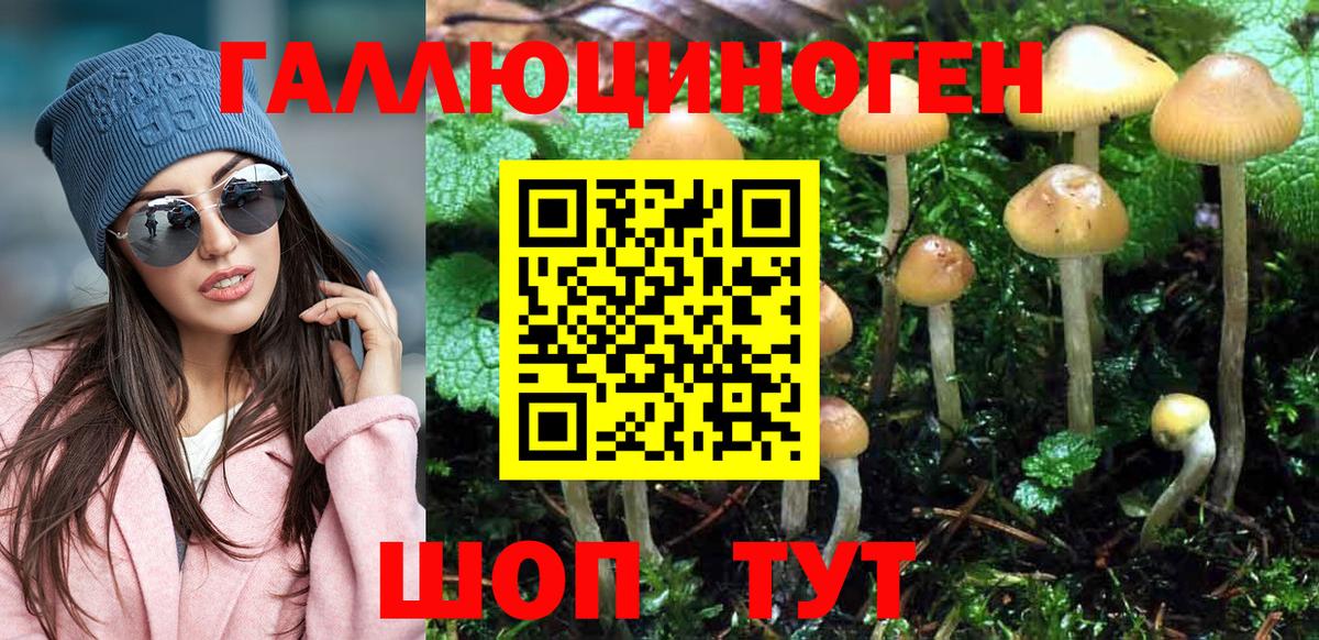 Галлюциногенные грибы Psilocybe  Вход с VPN  Воскресенск 