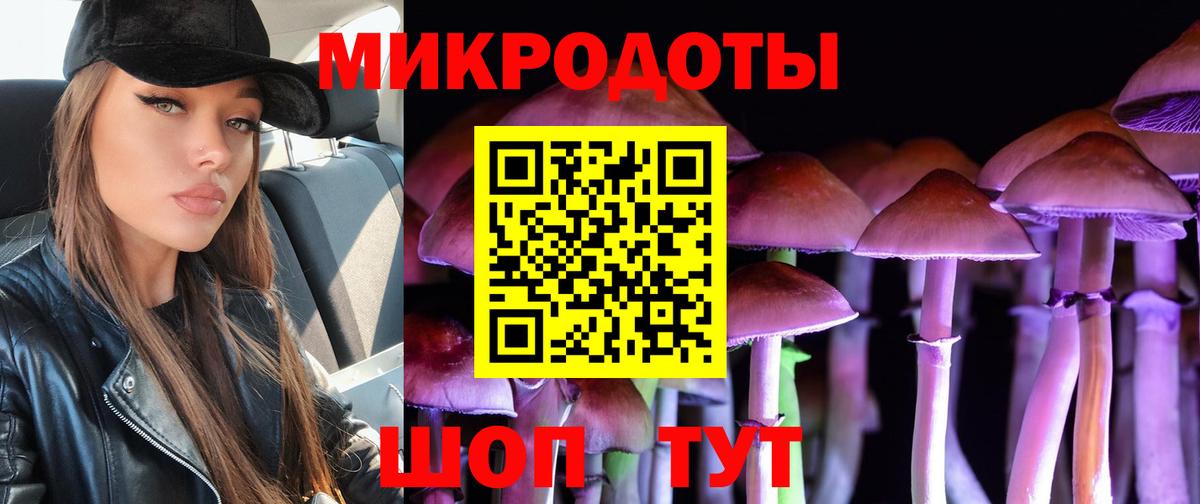 Псилоцибиновые грибы Psilocybine cubensis Воскресенск